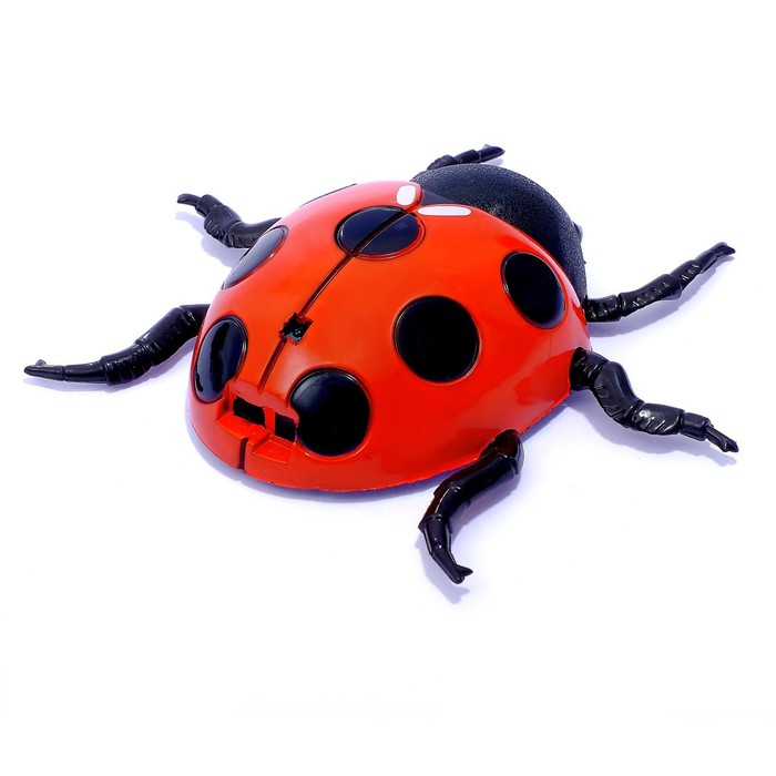 Жук на радиоуправлении «Божья коровка», ползает по стене Жук на радиоуправлении «Божья коровка», ползает по стене