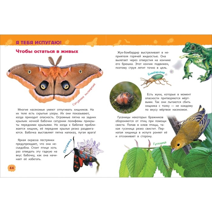 Энциклопедия для детского сада &laquo;Насекомые&raquo;