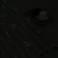 Плед светящийся в темноте Этель Candy cane 200*220 см,100% п/э, корал-флис, 220 гр/м2 Плед светящийся в темноте Этель Candy cane 200*220 см,100% п/э, корал-флис, 220 гр/м2