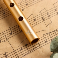 Флейта Music Life Е, золотая Флейта Music Life Е, золотая