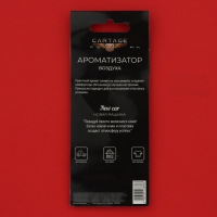 Ароматизатор подвесной Cartage Hot Series, набор 6 шт Ароматизатор подвесной Cartage Hot Series, набор 6 шт