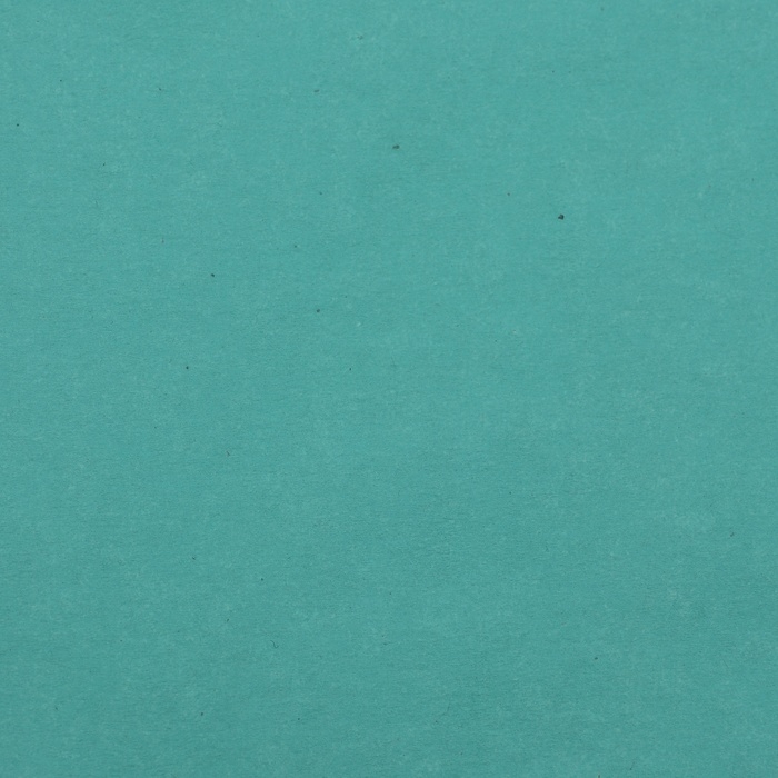 Пергамент флористический Пергамент флористический "Тиффани", 0,6 х 10 м, 52 г/м2