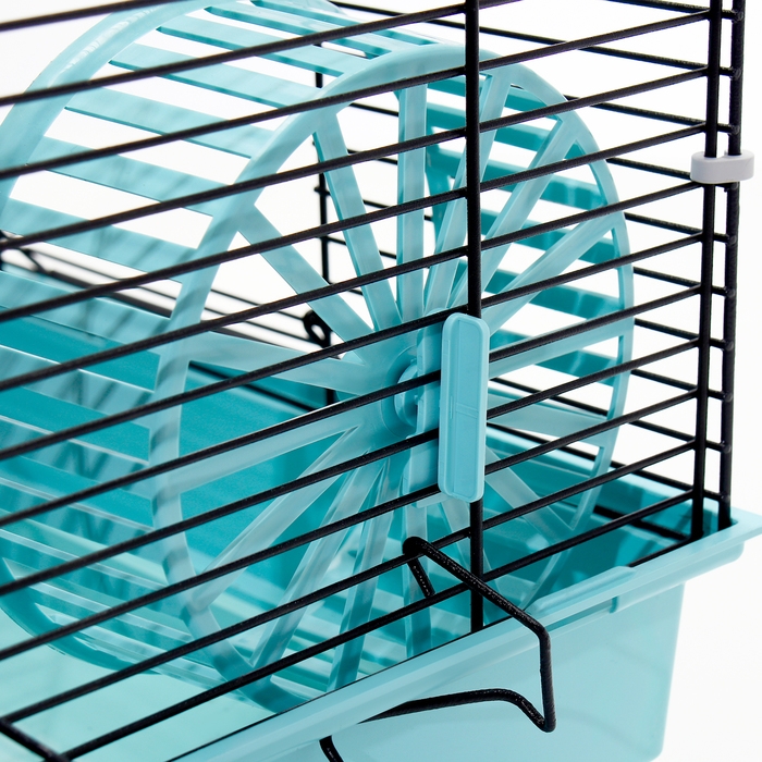 Клетка для грызунов Клетка для грызунов "Пижон" №5, с 3 этажами, укомплектованная, 41 х 30 х 58 см, бирюзовая