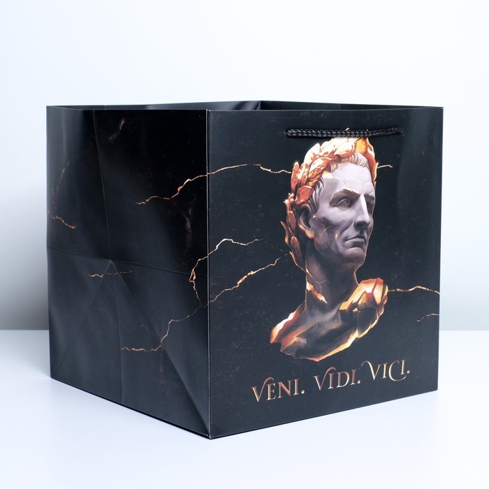 Пакет подарочный квадратный, упаковка, &laquo;Цезарь&raquo;, 30 х 30 х 30 см