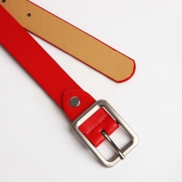 Ремень женский, ширина 2,4 см, винт, пряжка металл, цвет красный Ремень женский, ширина 2,4 см, винт, пряжка металл, цвет красный