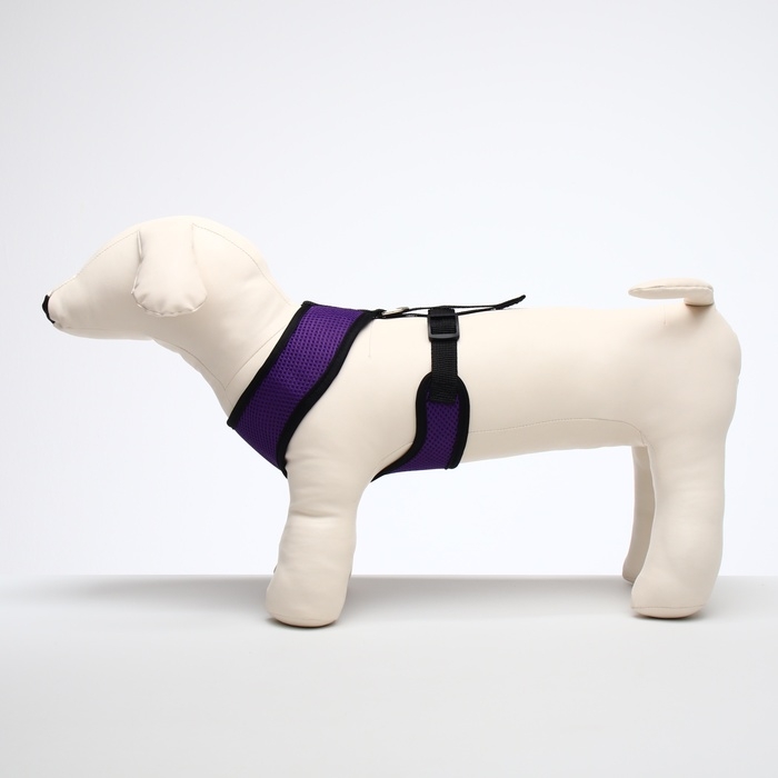 Шлейка мягкая из неопрена, размер L, ОШ 39 см, ОГ 36-46 см, фиолетовая Шлейка мягкая из неопрена, размер L, ОШ 39 см, ОГ 36-46 см, фиолетовая