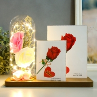 Фоторамка на 2 фото 9х13, 13х18 см с подсветкой "Розы в колбе" USB 9х25х20,5 см Фоторамка на 2 фото 9х13, 13х18 см с подсветкой "Розы в колбе" USB 9х25х20,5 см