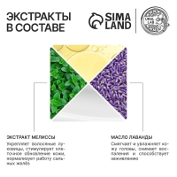 Шампунь для волос с маслом лаванды и экстрактом мелиссы, густые и сильные, 300 мл, ECO LAB by URAL LAB