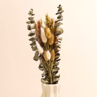 Сухоцветы «Мечта», набор из 4 видов, 48 × 16 × 6 см Сухоцветы «Мечта», набор из 4 видов, 48 × 16 × 6 см