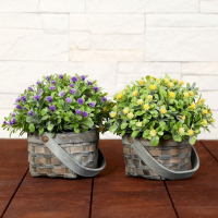 Бонсай "Нежное цветение в корзиночке" 9х13 см, микс Бонсай "Нежное цветение в корзиночке" 9х13 см, микс