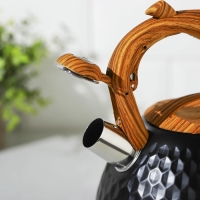 Чайник со свистком из нержавеющей стали Magistro Heat, 3 л, ТРС, индукция, ручка soft-touch, цвет чёрный Чайник со свистком из нержавеющей стали Magistro Heat, 3 л, ТРС, индукция, ручка soft-touch, цвет чёрный