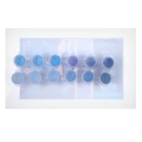 Набор акриловых красок &laquo;&lrm;Холодный бриз&raquo;&lrm;, 12 цветов