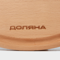 Доскa рaзделочнaя с кровостоком Премиум «Круглaя», d=25 см, бук Доскa рaзделочнaя с кровостоком Премиум «Круглaя», d=25 см, бук