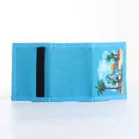 Кошелёк детский на липучке &laquo;Выбражулька&raquo;, цвет голубой