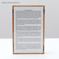 Пастила «Пастилушка» яблоко, 800 г Пастила «Пастилушка» яблоко, 800 г