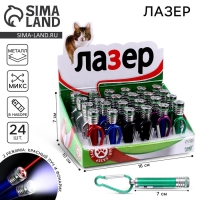 Лазер «Для кошачьего веселья», цвета МИКС, в шоубоксе Лазер «Для кошачьего веселья», цвета МИКС, в шоубоксе