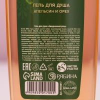 Подарочный набор косметики &laquo;Сказочного Нового Года&raquo;, гель для душа и пена для ванны, 2 х 250 мл, ЧИСТОЕ СЧАСТЬЕ