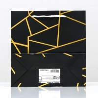 Пакет подарочный «Золотые линии», с тиснением, 22,5 х 23 х 10 см Пакет подарочный «Золотые линии», с тиснением, 22,5 х 23 х 10 см