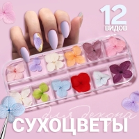 Сухоцветы для декора ногтей &laquo;Нежность&raquo;, объёмные, 12 видов, в футляре, разноцветные