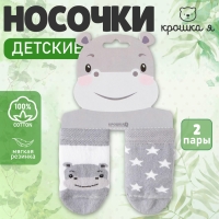 Набор носков Крошка Я &laquo;Бегемот&raquo;, 2 пары, 6-8