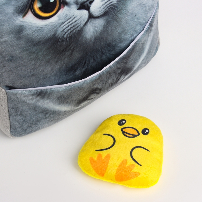 Рюкзак детский для девочки &laquo;Котик&raquo; с цыпленком