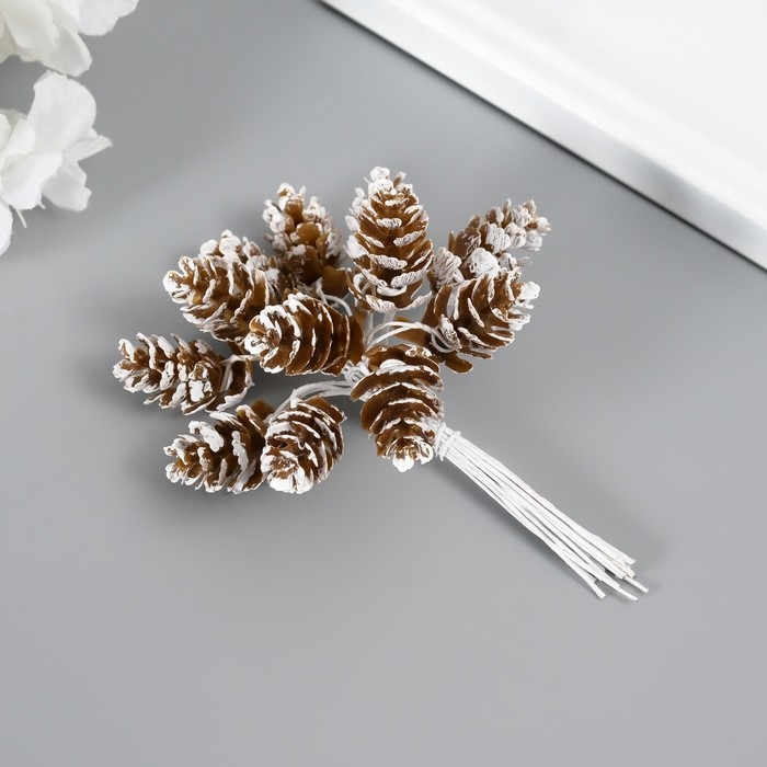 Декор для творчества Декор для творчества "Шишки" (1 набор=1 букет) в букете 12 шт 11х2х2см