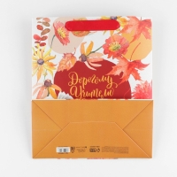 Пакет подарочный ламинированный вертикальный, упаковка, &laquo;Дорогому учителю&raquo;, ML 27 х 23 х 11,5 см