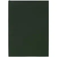 Ежедневник Flat Light, недатированный, зеленый