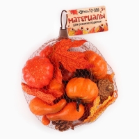 Набор для творчества &laquo;Осенние поделки&raquo;, в сетке