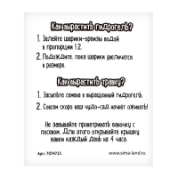 Набор для опытов «Живой сад: Кошечка», цвета МИКС Набор для опытов «Живой сад: Кошечка», цвета МИКС