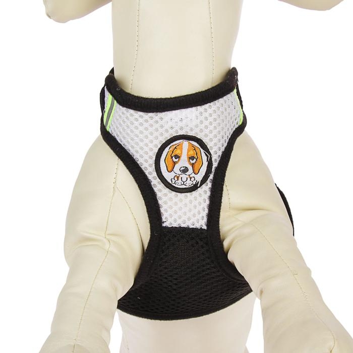 Шлейка регулируемая дышащая, светоотражающая, размер XL (ОШ 48-68; ОГ 58-72 см), чёрная Шлейка регулируемая дышащая, светоотражающая, размер XL (ОШ 48-68; ОГ 58-72 см), чёрная