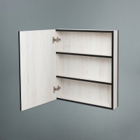 Зеркало-шкаф для ванной комнаты "Винтер 60", Винтерберг, 60 х 66,7 х 12,3 см Зеркало-шкаф для ванной комнаты "Винтер 60", Винтерберг, 60 х 66,7 х 12,3 см