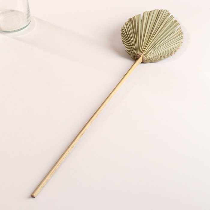 Лист пальмы Вашингтония Лист пальмы Вашингтония "Пика" 50-60 (+/- 6 см), 1 шт, цв. натуральный