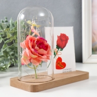 Фоторамка 9х13 см свет "Розовая роза в колбе" от батареек 2хLR1130 9,8х19,5х18 см Фоторамка 9х13 см свет "Розовая роза в колбе" от батареек 2хLR1130 9,8х19,5х18 см