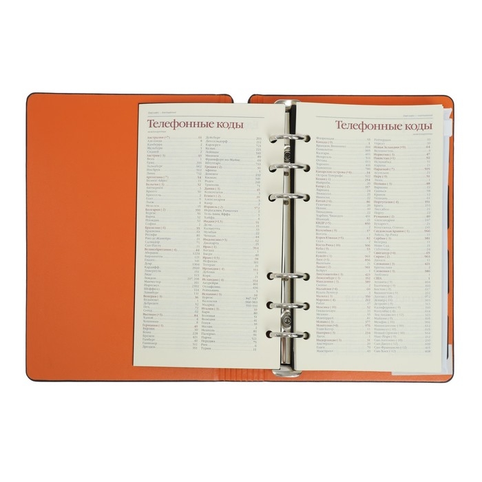 Ежедневник недатированный А5, 120 листов на кольцах FIRENZE, обложка искусственная кожа, блок 70г/м2, чёрный