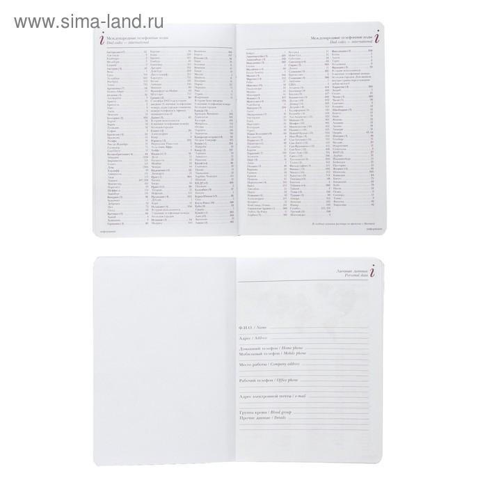 Ежедневник недатированный А5+, 136 листов Sidney Nebraska, твёрдая обложка, искусственная кожа, золотой срез, зелёный