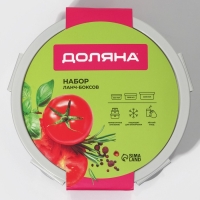 Набор ланч - боксов Доляна, 3 шт, 500 мл, 1 л, 1,9 л, прозрачный