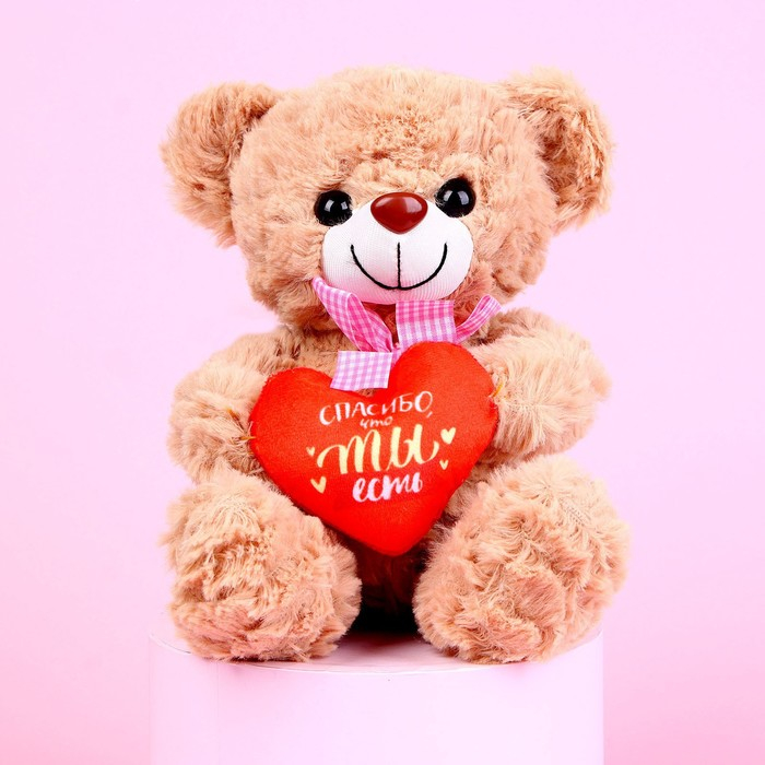 Мягкая игрушка &laquo;Спасибо, что ты есть&raquo;, 22 см., МИКС