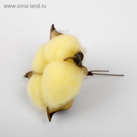 Сухие цветы хлопка, набор 3 шт., размер 1 шт. 6 &times; 6 см, цвет жёлтый