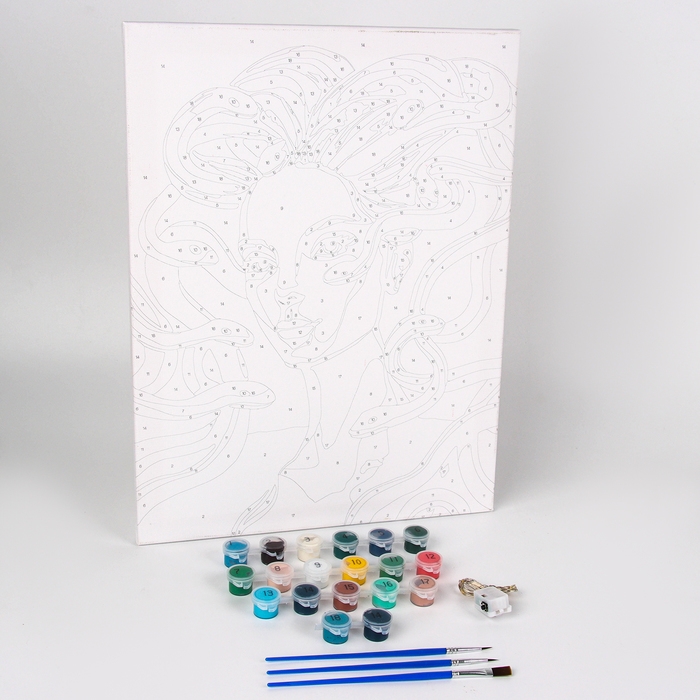 Картина по номерам на холсте с подрамником и гирляндой на новый год «Девушка и змеи», 30 х 40 см, символ года 2025, новогодний набор для творчества Картина по номерам на холсте с подрамником и гирляндой на новый год «Девушка и змеи», 30 х 40 см, символ года 2025, новогодний набор для творчества