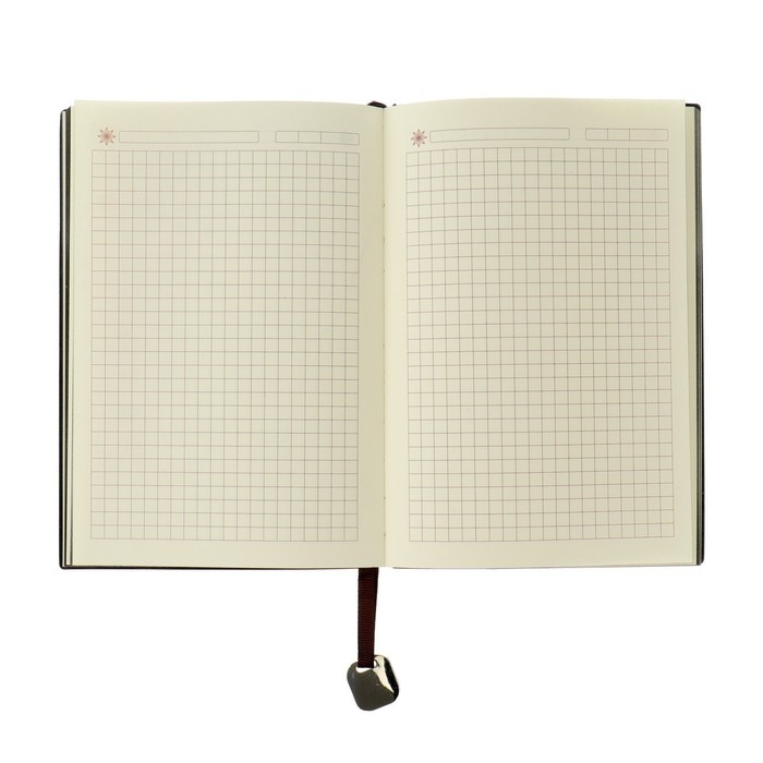 Ежедневник недатированный А6+, 116 листов в клетку, тонированный срез, обложка ЛАЙТ, МИКС