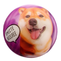 Мяч детский мягкий «Играй с друзьями»питомцы 4,5 см , в шоубоксе Мяч детский мягкий «Играй с друзьями»питомцы 4,5 см , в шоубоксе