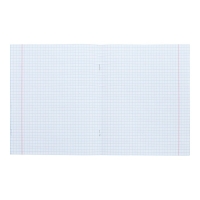 Тетрадь 48 листов в клетку Calligrata TOP "В розовых очках", обложка мелованный картон, голография, блок офсет, белизна 95%, МИКС