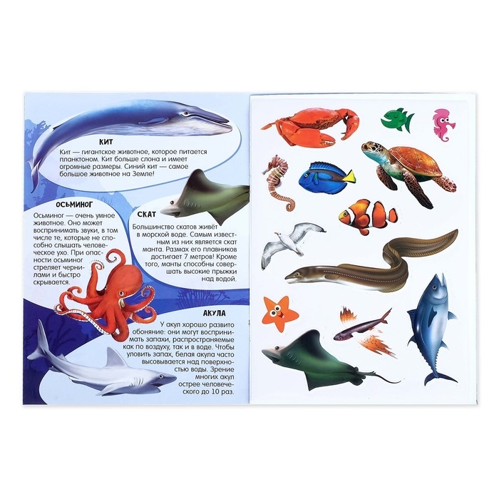 Активити книга с наклейками и растущими игрушками &laquo;Океан&raquo;, 12 стр.