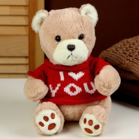 Мягкая игрушка &laquo;Мишка&raquo; в кофте, 25 см