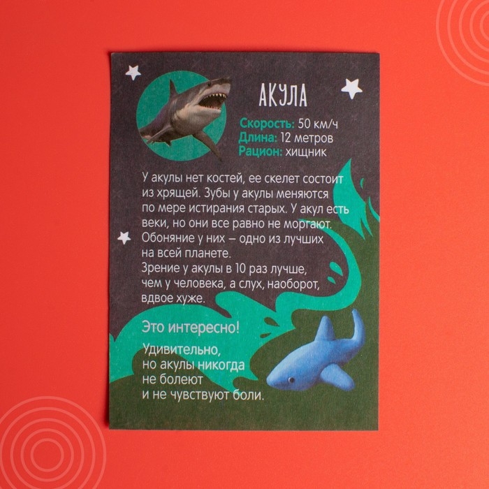 Растущие животные в яйце &laquo;Акула&raquo; МИКС