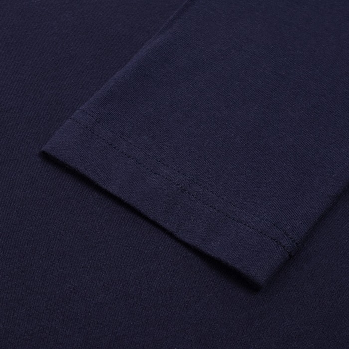 Лонгслив President, М, синий, 100% хлопок, кул.гладь 150 г/м2