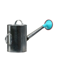 Лейка, 5 л, с рассеивателем, оцинкованная, без рисунка, носик d = 25 мм