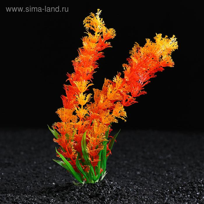 Растение искусственное с распылителем, 14 х 14 х 20 см