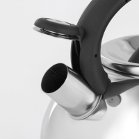 Чайник со свистком из нержавеющей стали Доляна &laquo;Квант&raquo;, 2,8 л, фиксированная ручка, цвет хромированный